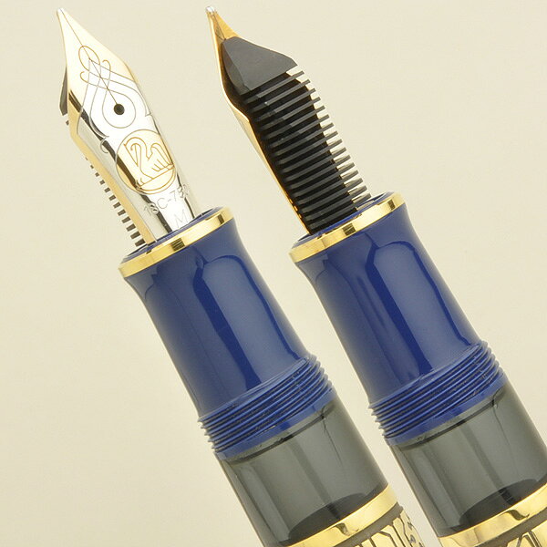 ペリカン 万年筆 限定品 EXPO2000 テクノロジー PELIKAN ペリカン万年筆 高級 プレゼント 男性 女性 誕生日 夏ギフト penroom-10040084 ペンハウス 万年筆・ボールペン サンプル画像2
