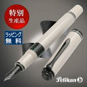 即日発送 ペリカン 特別生産品 万年筆 スーベレーン M670 ウォームグレー Pelikan 万年筆 プレゼント 男性 女性 誕生日 人気 バレンタイン クリ...