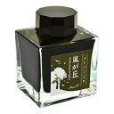 Pent〈ペント〉 ボトルインク コトバノイロ 嵐が丘 あらしがおか 50ml インク 万年筆インク オリジナル 文学 文豪