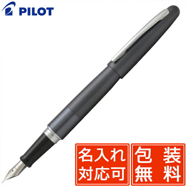 パイロット(pilot) 万年筆 名入れ パイロット 万年筆 コクーン FCO-3SR-MGY メタリックグレー PILOT はじめての万年筆 万年筆初心者