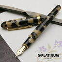 名入れ 万年筆 プラチナ万年筆 #3776 センチュリー セルロイド PTB-35000S-67 イシガキ PLATINUM プレゼント 男性 女性 誕生日