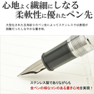 万年筆 名入れ プラチナ万年筆 万年筆 プロシオン X/PNS-5000- 全5色 PLATINUM 名入り 名前入り 1本から 新品 プレゼント 男性 女性 おしゃれ 可愛い かわいい 高級万年筆 高級