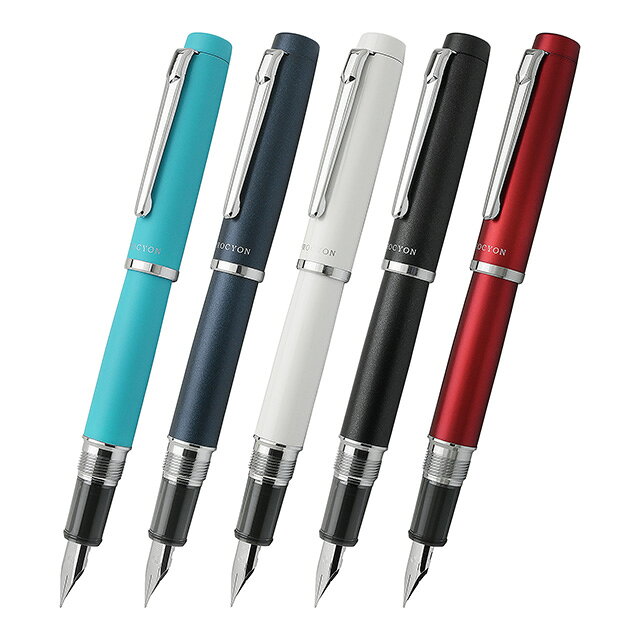 プラチナ万年筆 万年筆 プロシオン 全5色 PLATINUM PROCYON プラチナ 名入れ プレゼント 高級 男性 女性 夏ギフト penroom-10048069 ペンハウス 万年筆・ボールペン サンプル画像3