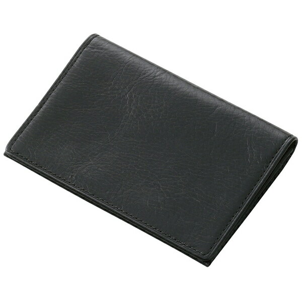 レイメイ藤井 ブルームズベリー 20枚名刺入れ NN8004B ブラック 冬ギフト クリスマス