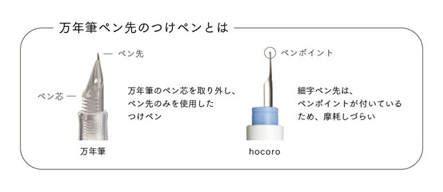 ��3/5�Ϻ���P5�ܡ��� �����顼��ǯɮ SAILOR ��ǯɮ�ڥ���ΤĤ��ڥ� hocoro ���֥� �ۥ��� ���� �ץ쥼��� ���� ���� ������ �ۥ磻�ȥǡ�