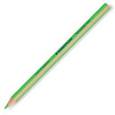 ステッドラー 蛍光色鉛筆 テキストサーファー ドライ 128 64-5 ネオングリーン 1ダース STAEDTLER プレゼント 男性 女性 誕生日