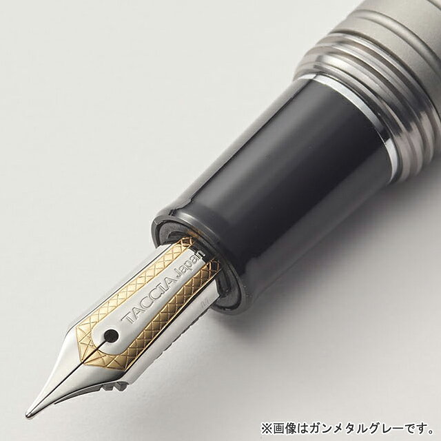 Foto di Pinacle Fountain Pen