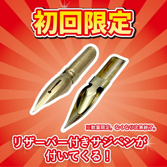 �������� �ץ�ߥ���ե꡼�ڥ� TAMO TACHIKAWA ¨��ȯ�� �ץ쥼��� ������ ���� �ڼ� �Ĥ��ڥ� ���� ���� ������ �ۥ磻�ȥǡ�