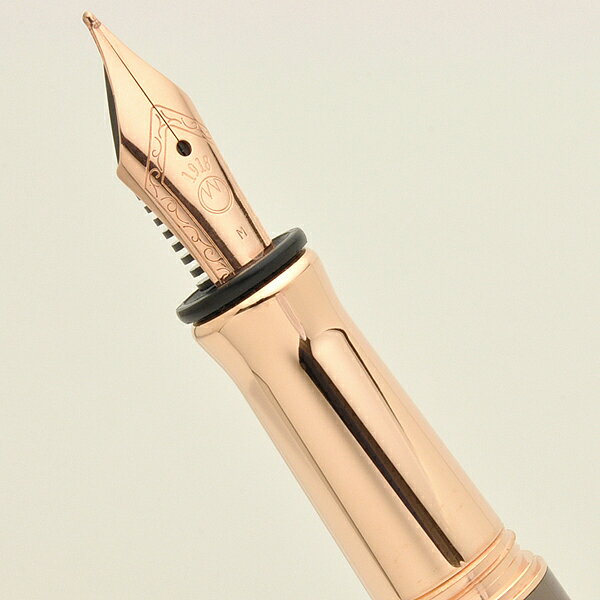 Photo de Tasukani Fountain Pen