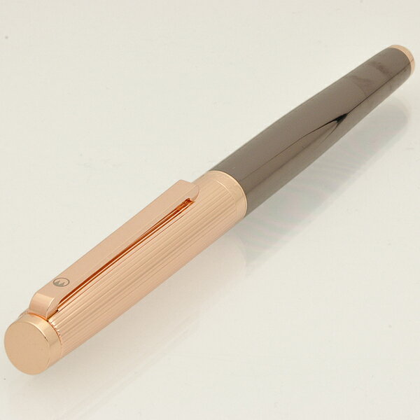 Photo de Tasukani Fountain Pen