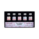 エルバン ミニボトルインク5本セット 香りつき hb18700<4800>【名入れ不可】【ラッピング無料】【ネコポス不可】
