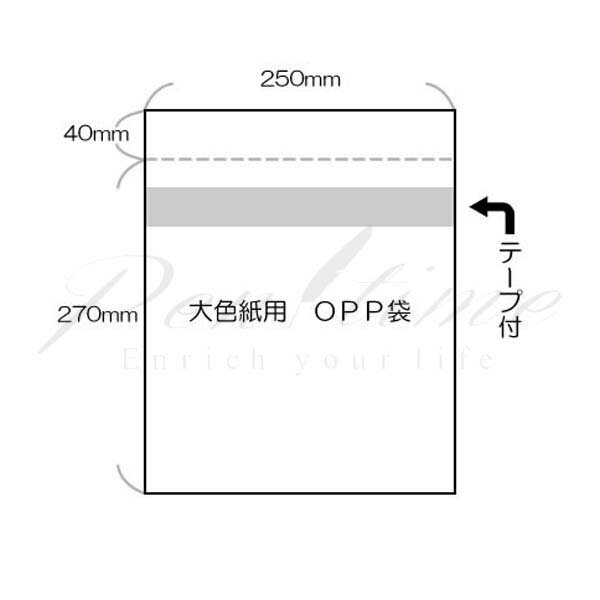 色紙保管用 OPP袋 大色紙用 100枚入り【名入れ不可】【ラッピング不可】【ペンタイム】【ネコポス不可】