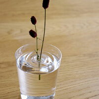 FloatingVase(フローティングベース)/RIPPLE(リプル)/水に浮かぶ一輪挿し