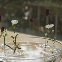 FloatingVase(フローティングベース)/RIPPLE(リプル)/水に浮かぶ一輪挿し