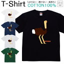 Tシャツ メンズ レディース ダチョウ 駝鳥 動物 アニマル イラスト ジュニア キッズ 半袖 コットン100% 綿100% ティーシャツ デザイン プリント ブラック ホワイト ネイビー グレー グリーン 100サイズ 120サイズ XXS XS S M L XL 5.6オンス 印刷 zakka043-0199
