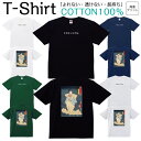 【2枚購入で5%オフクーポン/先着50枚】Tシャツ メンズ レディース 奇術競 仁木弾正 ジュニア キッズ 半袖 コットン100% 綿100% ティーシャツ デザイン プリント ブラック ホワイト ネイビー グレー グリーン XXS XS S M L XL zakka043-0327