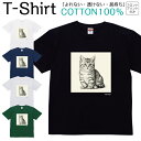 【2枚購入で5%オフクーポン/先着50枚】Tシャツ メンズ レディース いぬ 犬 動物 スコティッシュフォールド ジュニア キッズ 半袖 コットン100% 綿100% ティーシャツ デザイン プリント ブラック ホワイト ネイビー グレー グリーン XXS XS S M L XL zakka043-0930