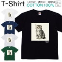 【2枚購入で5%オフクーポン/先着50枚】Tシャツ メンズ レディース いぬ 犬 動物 サイベリアン ジュニア キッズ 半袖 コットン100% 綿100% ティーシャツ デザイン プリント ブラック ホワイト ネイビー グレー グリーン XXS XS S M L XL zakka043-0932