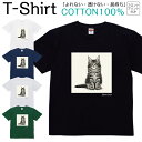 【2枚購入で5%オフクーポン/先着50枚】Tシャツ メンズ レディース いぬ 犬 動物 エキゾチックショートショートヘア ジュニア キッズ 半袖 コットン100% 綿100% ティーシャツ デザイン プリント ブラック ホワイト ネイビー グレー グリーン XXS XS S M L XL zakka043-0933