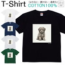 Tシャツ メンズ レディース いぬ 犬 動物 アメリカンショートヘア ジュニア キッズ 半袖 コットン100% 綿100% ティーシャツ デザイン プリント ブラック ホワイト ネイビー グレー グリーン 100サイズ 120サイズ XXS XS S M L XL 5.6オンス 印刷 zakka043-0935