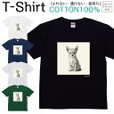 Tシャツ メンズ レディース いぬ 犬 動物 トイプードル ジュニア キッズ 半袖 コットン100% 綿100% ティーシャツ デザイン プリント ブラック ホワイト ネイビー グレー グリーン 100サイズ 120サイズ XXS XS S M L XL 5.6オンス 印刷 zakka043-0936