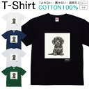 Tシャツ メンズ レディース いぬ 犬 動物 柴犬 ジュニア キッズ 半袖 コットン100% 綿100% ティーシャツ デザイン プリント ブラック ホワイト ネイビー グレー グリーン 100サイズ 120サイズ XXS XS S M L XL 5.6オンス 印刷 zakka043-0938