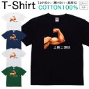 【2枚購入で5%オフクーポン/先着50枚】Tシャツ メンズ レディース 海洋生物 タツノオトシゴ ジュニア キッズ 半袖 コットン100% 綿100% ティーシャツ デザイン プリント ブラック ホワイト ネイビー グレー グリーン XXS XS S M L XL zakka043-0971