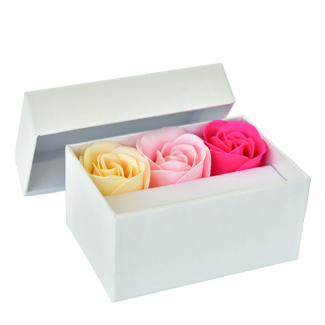 �ڥ�����ñ�ʹ����ԲġۥХ饮�եȥܥå���[0239905001]