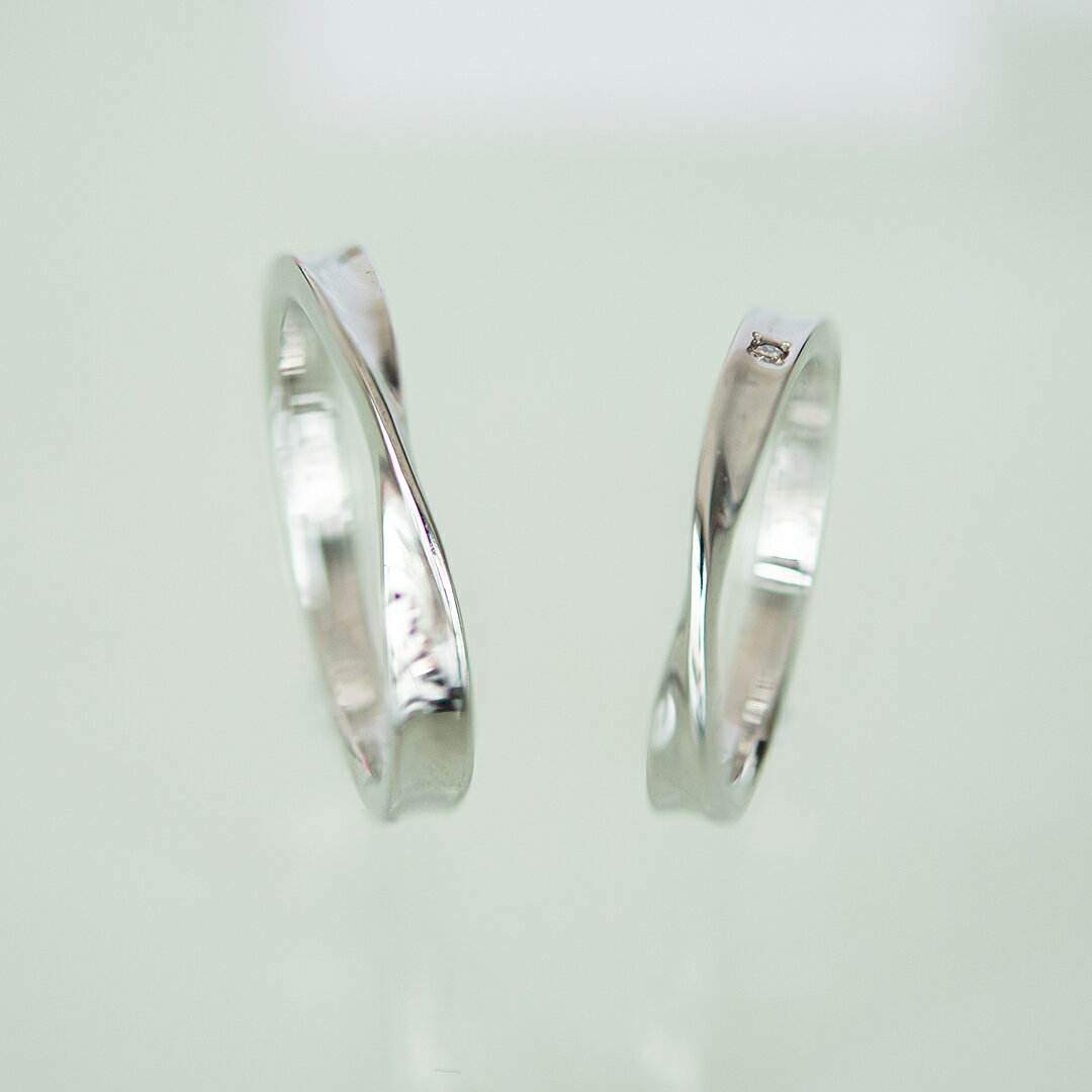 ペアリング ステンレススチールダイヤモンド【ペア売り】(アガパンサス/愛/花)(4月誕生石)[0613840209-0613800110]