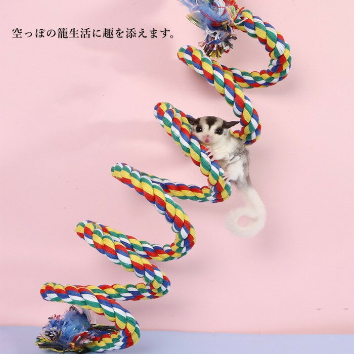 ����̵�� �ե������� ���� �쥤��ܡ����ץ�� ���� ���ץ�� ���� Ĺ�� ������� ��� �Τܤ� ͷ�� ͷ�� ��ưʪ ��������