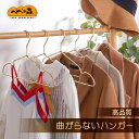送料無料 10本セット アルミ製ハンガー ハンガー スリム 洗濯 曲がらない 軽い 頑丈 アルミ アルミハンガー アルミ 洗濯用ハンガー 洋服 洋服収納 衣類 ...
