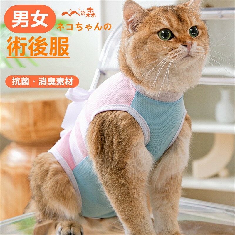 乐天商城 - 送料無料 獣医師推奨 猫用 ハート刺繍術後服 男の子雄 女の子雌兼用 猫用 避妊 去勢 乳腺腫瘍 キャットウェア 介護服 術後着 術後 手術 犬猫の服