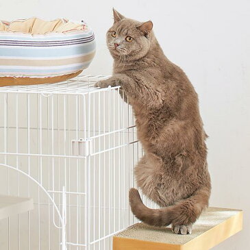 ケージ用ステップ コーナー ※ケージは別売りです。 猫 ケージ用ステップ 階段 取付簡単 ダンボール製 爪とぎ PEPPY ペピイ