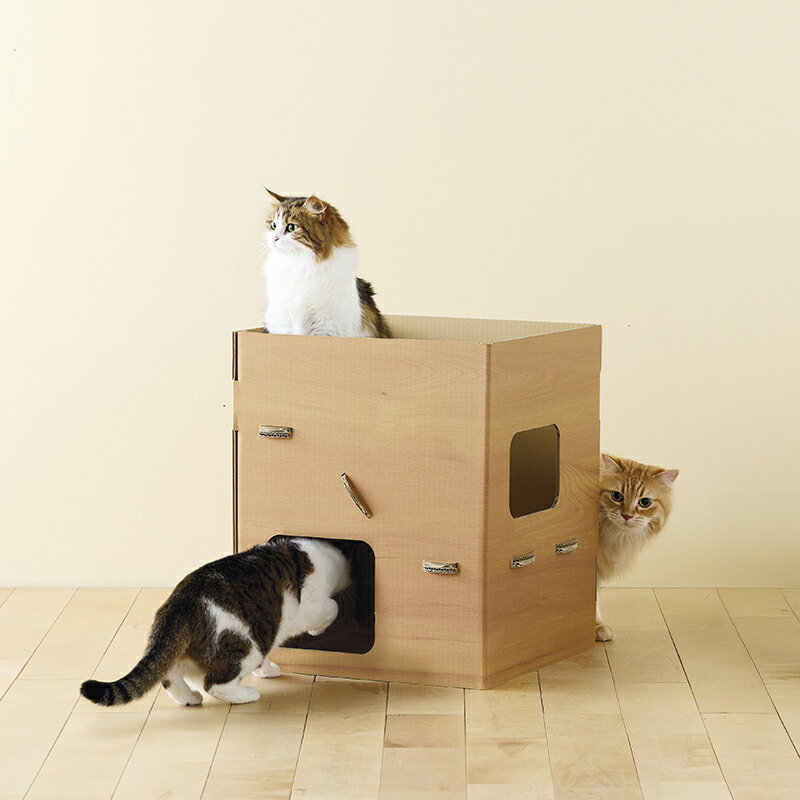 Tunnel - 普通のダンボールより楽しいダンボールの小屋 猫 おもちゃ ペット トンネル 猫用ハウス