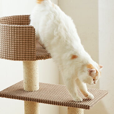 ローステップタワー キャットタワー 据え置き 爪研ぎ シニア 猫 ペピイオリジナル