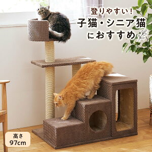 【シニア猫・大型猫に人気】安定重視の低段差設計★スリムでおしゃれなキャットタワーのおすすめは？