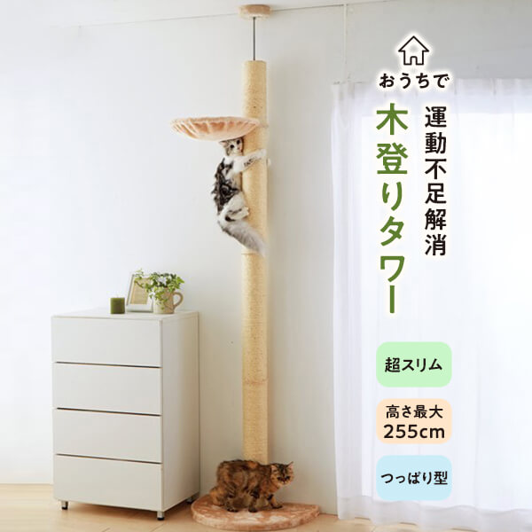 キャットタワー　おうちで木登りタワー 突っ張り 爪研ぎ 木登り 猫 イタズラ防止 引っかき ペピイオリジナル