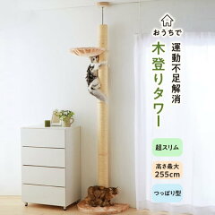 https://thumbnail.image.rakuten.co.jp/@0_mall/peppyshop/cabinet/cat/tower/ra0082501_230315.jpg