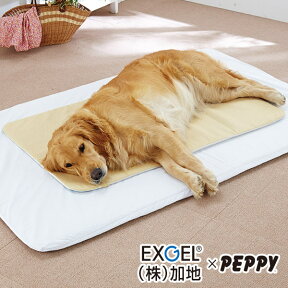 エクスジェルマット L 60×100cm 犬 介護ベッド 国産 ペピイオリジナル
