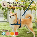 ワンタッチリード L (旧商品名:抗菌ワンタッチリード)犬 リード シンプル 抗菌 丈夫 散歩 引っ張り癖 ペット ペピイ PEPPY(4)