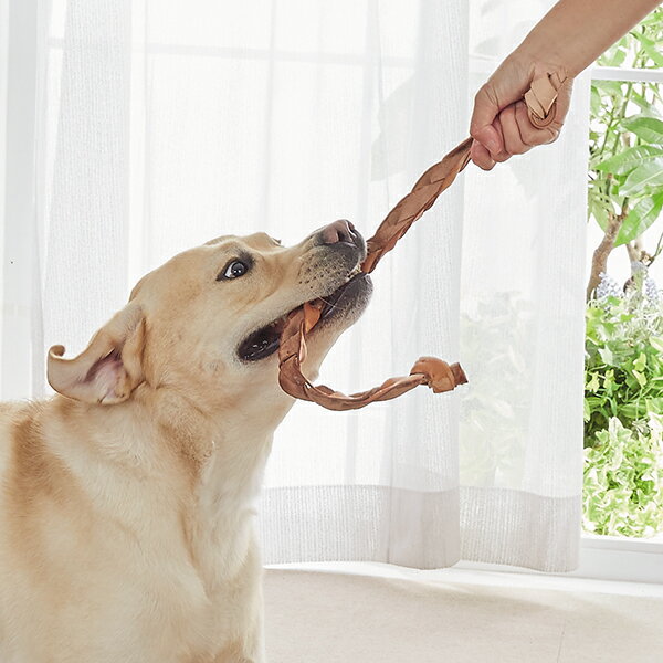 牛革のカミカミおもちゃ　国産セーフハイド （革製犬用おもちゃ）ロープ S　犬 おもちゃ ロープ 牛革 国産 引っ張りっこ いぬ ペット ペピイ PEPPY 3