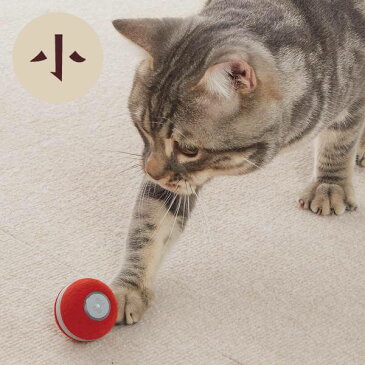 ウィキッドボール レッド　小　犬 猫 おもちゃ ボール 全自動 電動 一人遊び いぬ ねこ ペット ペピイ PEPPY