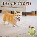【スーパーSALE限定クーポン有】ピタッと吸着マット 大判無地&モノグラム 12枚(各6枚) 犬 いぬ 猫 ねこ 滑り止め マット フローリング 関節ケア 防音 ペット ペピイ(4)