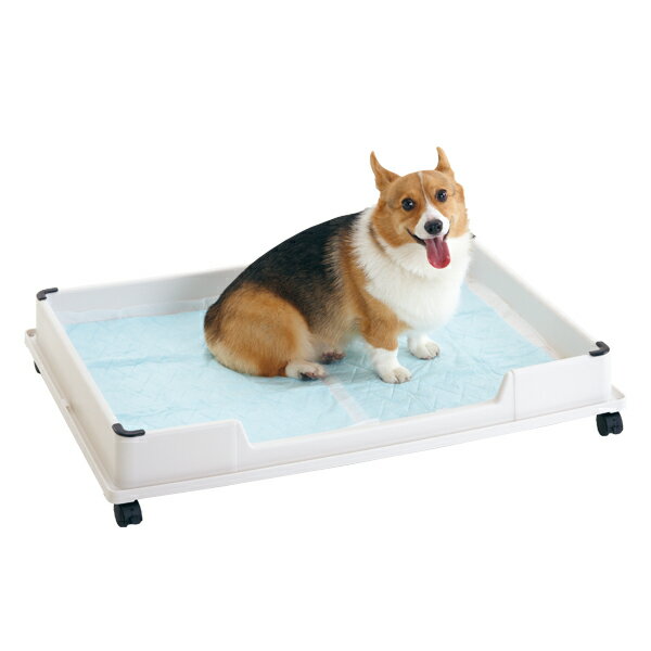 【全店10％OFFクーポン】犬用トイレトレー　大型犬　ペットトイレ　ドッグトレートレー　ワイド　レギュラー　しつけトレー　トレーニング　洗い場　ペット用おしっこマット　小型犬　中型犬　丸洗い可能　掃除簡単　屋内屋外　ピンク　M