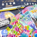 文具セット 文房具 文具 小学生 男の子 男子 低学年 高学年 文房具セット子供会 学童 育英会 卒園 入学 イベント 卒団 お楽しみ会 お誕生日会 クリスマス...