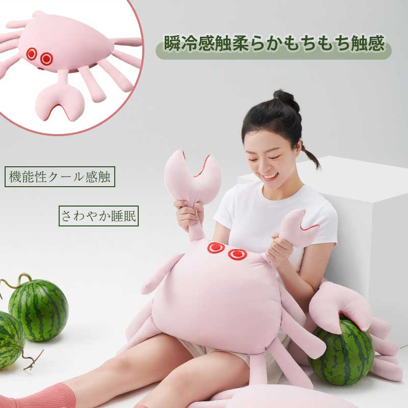 抱き枕 接触冷感 ひんやり 夏用 洗える 通気 快眠グッズ 丸洗いOK ふんわり肌触り 安心 癒し 子供 妊婦 大人 車 クッション 横向き寝 抗菌防臭 冷感持続 メーカー希望小売価格はメーカーサイトに基づいて掲載しています