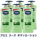 @Z AG X[Y {fB[V 600ml~6{Zbg CeVuPA Vaseline {fB[[VE~NEgi[ [3000] qɂ