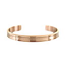 スウェーデン発ブランド ダニエルウェリントン DANIEL WELLINGTON バングル メンズ レディース Elan Bracelet エランブレスレット ...