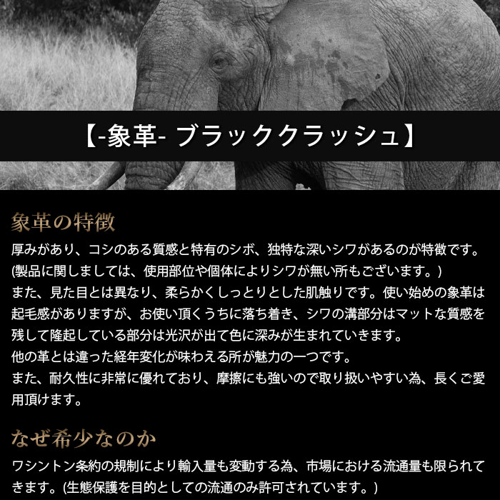 クーポン配布中 ZOO ズー 日本製 ZMW-...の紹介画像3