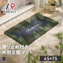 外用玄関マット ドアマット 泥落とし 砂落とし ベランダマット 水洗い 滑り止め ポップ ボタニカル かわいい おしゃれ 耐久性 グリーン ブラック 45cm×75cm 一軒家 新居 店舗 戸建て 引っ越し お店(3)
